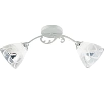 Потолочная люстра ВИНКРУС WH+CR, E27x2x60W XA1380/2