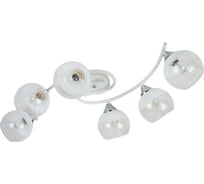 Потолочная люстра ВИНКРУС WH+CR, E27x6x60W XA1415/6