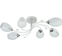 Потолочная люстра ВИНКРУС WH+CR, E27x6x60W XA1396A/6