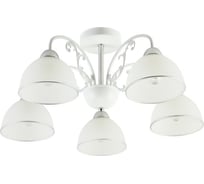 Потолочная люстра ВИНКРУС WH+CR, E27x5x60W XA1426B/5