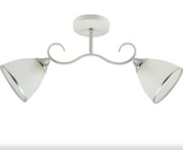 Потолочная люстра ВИНКРУС WH+CR, E27x2x60W XA1451B/2