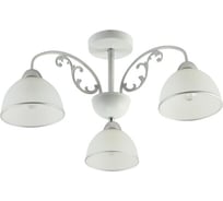 Потолочная люстра ВИНКРУС WH+CR, E27x3x60W XA1426B/3