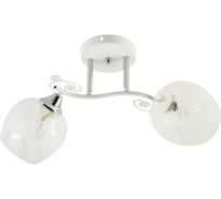 Потолочная люстра ВИНКРУС WH+CR, E27x2x60W XA1435B/2