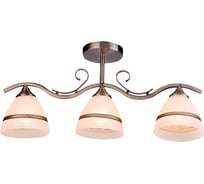 Потолочная люстра ВИНКРУС AB, E27x3x60W MH39008/3