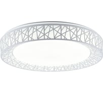 Потолочная люстра TOPLIGHT diana TL1204X-72WH