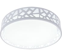Потолочная люстра TOPLIGHT leone TL1205X-72WH