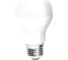 Светодиодная лампа в колбе лон СТАРТ ECO LEDGLSE27 25W 65 2