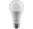 Лампа ОНЛАЙТ OLL-A60-20-230-4K-E27 61158 1
