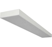 Аварийный светильник DIODEX led офис гант 35вт, 3000к, опал., белый, 3ч., 1-10, 4603789942286