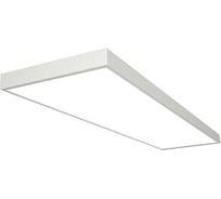 Аварийный светильник DIODEX led офис гант 40вт, 5500к, равном., белый, 3ч., dali, 4603789942774