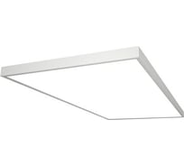 Аварийный светильник DIODEX led офис макси 80вт, 4000к, равном., белый, 1ч., dali, 4603789943771