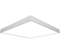 Аварийный светильник DIODEX led офис стандарт 40вт, 3000к, равном., белый, 1ч., 1-10, 4603789944242