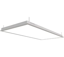 Светильник DIODEX led экофон макси gedina d 70вт, 3000к, опал, белый, аварийный, 3ч., 1-10, 4673726712883