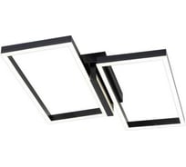 Потолочный светильник ESCADA 10209/2 LED*60W Black 10209/2LED Black