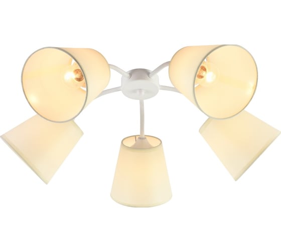 Люстра Rivoli Aimee 9162305 5 х Е27 60 Вт модерн Б0059972