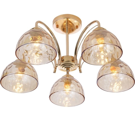 Люстра Rivoli Terri 9172305 5 х Е27 40 Вт модерн Б0060989