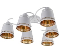 Люстра Rivoli Yvonne 9166306 6 х Е14 40 Вт модерн Б0059980