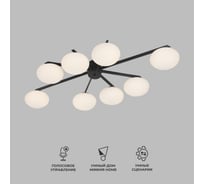 Потолочный светильник Eurosvet 70220/8 черный a065767