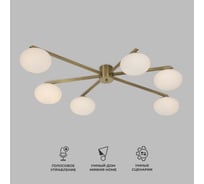 Потолочный светильник Eurosvet 70220/6 латунь a065766