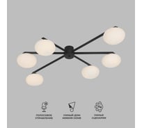 Потолочный светильник Eurosvet 70220/6 черный a065765