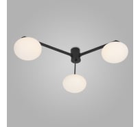 Потолочный светильник Eurosvet 70220/3 черный a065764