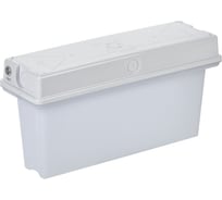 Универсальный аварийный светильник IEK сса1010 1ч, ip65 LSSA0-1010-1-65-K01