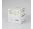 Светодиодная гирлянда Ardecoled ARD-NETLIGHT-HOME-1500x1500-CLEAR-150LED White 024673 6