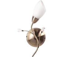 Бра MW LIGHT 356023001 Нежность 1*60W E14 220 V