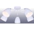 Люстра Freya cammeo 5хe14x60w, металл, белый FR5056PL-05W 1