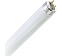 Ультрафиолетовая лампа LEDVANCE диапазона ATTRACTIVE UVA T8 36/40W G13 4058075682030