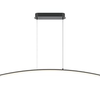 Подвесной светильник MAYTONI light reflection led 15w металл черный MOD243PL-L18BK