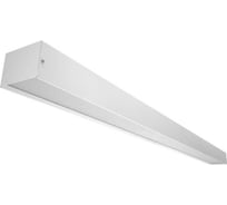 Аварийный светильник DIODEX led таргис лонг 35вт, 4000к, призма, белый, 3ч., 4673726721823