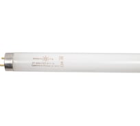 Люминесцентная лампа Формула Света ЛТ 36 Вт / 765 G13 T8 25x1 ФС FGLL30000006628