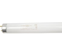 Люминесцентная лампа Формула Света ЛТ 58 Вт / 640 G13 T8 25x1 ФС FGLL30000007249