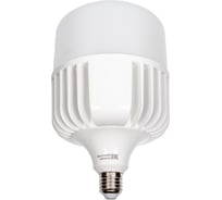 Светодиодная лампа iSVET 100Вт Е27, E40 led светильник потолочный мощная лампочка, холодный белый свет, для маляра, 6000 К PR-102-4-6-1