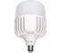 Светодиодная лампа iSVET 100Вт Е27, E40 led светильник потолочный мощная лампочка, холодный белый свет, для маляра, 6000 К PR-102-4-6-1 1