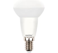 Светодиодная лампа Smartbuy LED R50-06W/3000/E14 SBL-R50-06-30K-E14-A