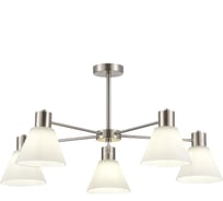 Потолочный светильник Evoluce никель/белый e27 5x60w, SLE1561-103-05