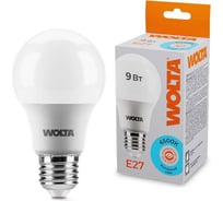 Лампа WOLTA LED 25W60BL9E27
