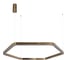 Подвесной светильник LOFT IT Titanium 10243XL Gold 2