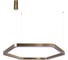 Подвесной светильник LOFT IT Titanium 10243L Gold 1