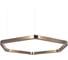 Подвесной светильник LOFT IT Titanium 10243L Gold 4
