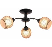 Потолочный светильник Lumin'arte ZEPHYR-CL40E27-3BL