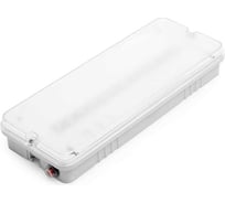 Аварийный светодиодный светильник Wolta Премиум Ориентир мини с БАП, 20 тыс. часов аккумулятора, прозрачный, 3 Вт, 6500К Холодный свет, ДБО03-3-052-6К