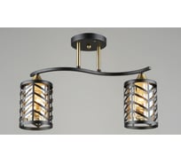 Потолочная люстра Мелодия Света sl3501-2 bk+gd 000065844
