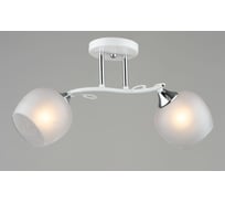 Потолочная люстра Мелодия Света sl3598-2 wt+cr 000065862