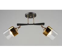 Потолочная люстра Мелодия Света sl4350-2 cf+gd 000065851