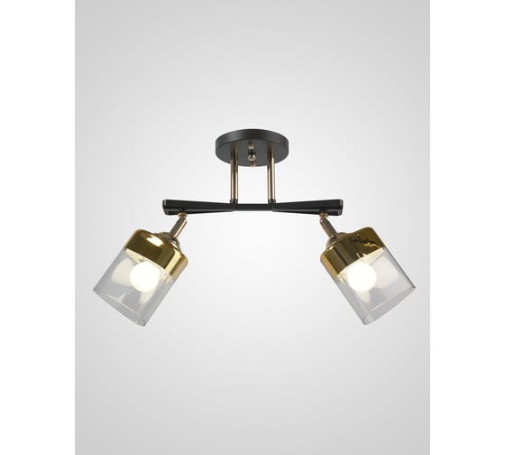 Потолочная люстра Мелодия Света sl4350-2 cf+gd 000065851