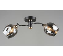 Потолочная люстра Мелодия Света sl4764-2 cf+gd 000065854