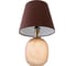 Настольная лампа Bergenson Bjorn Speckles, 19х19 см с терракотовым абажуром BB0000559 3